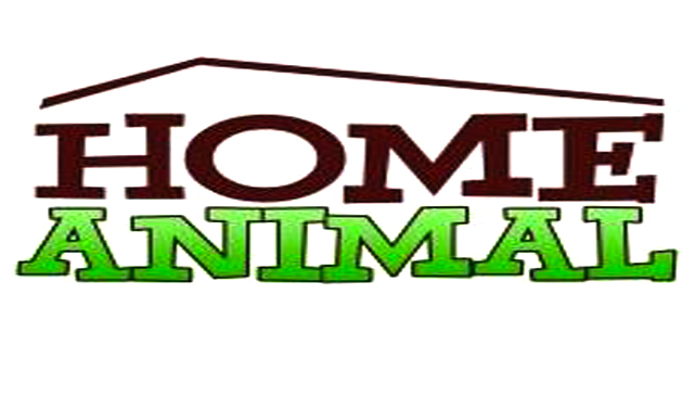 aucun thumbnail